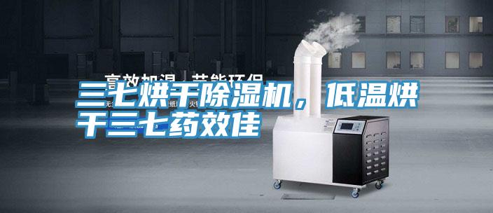 三七烘干除濕機，低溫烘干三七藥效佳