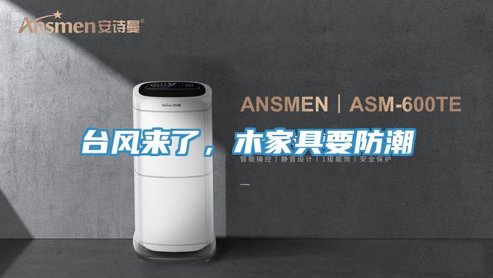 臺風來了，木家具要防潮