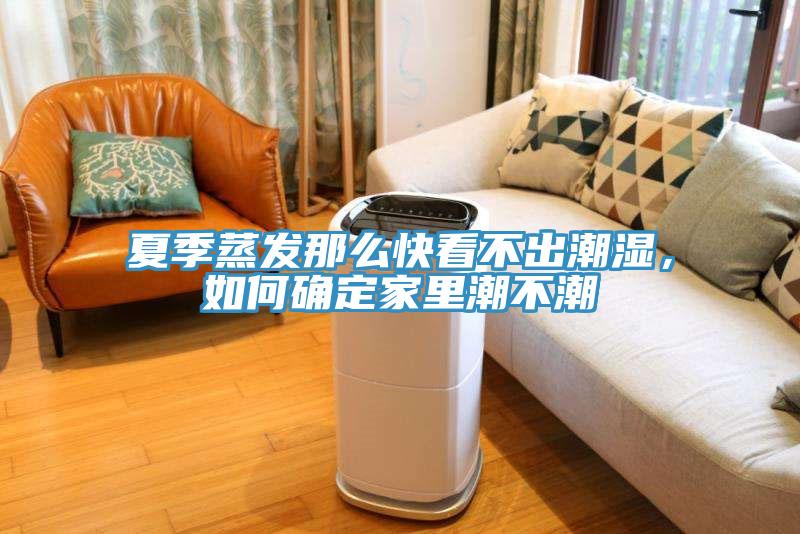 夏季蒸發那么快看不出潮濕，如何確定家里潮不潮
