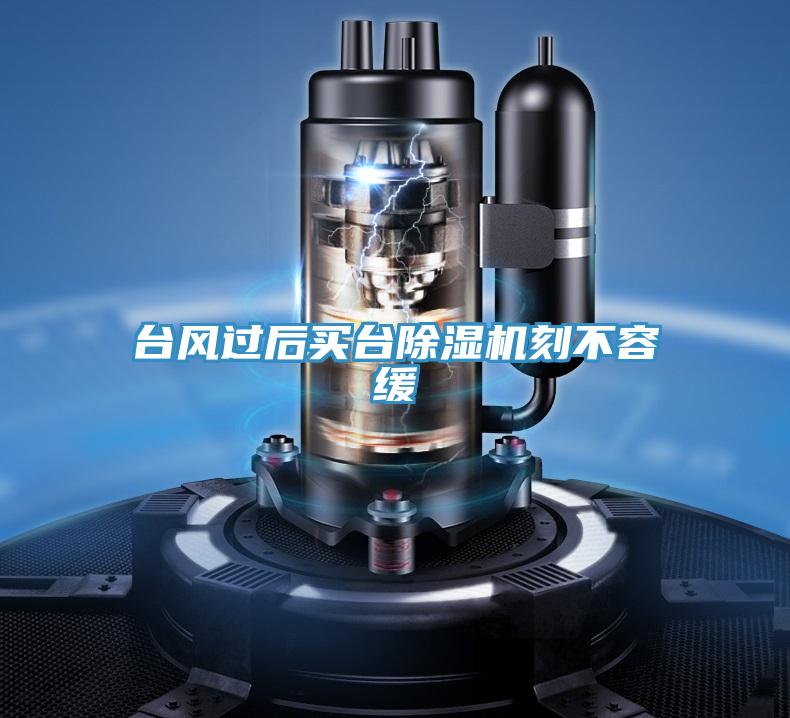 臺風過后買臺除濕機刻不容緩