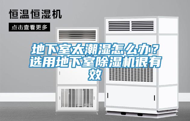 地下室太潮濕怎么辦？選用地下室除濕機很有效
