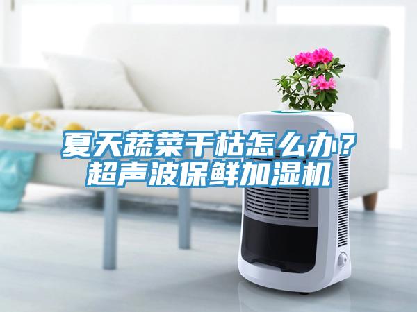 夏天蔬菜干枯怎么辦？超聲波保鮮加濕機(jī)