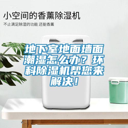 地下室地面墻面潮濕怎么辦？環(huán)科除濕機幫您來解決！