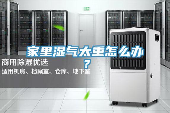 家里濕氣太重怎么辦？