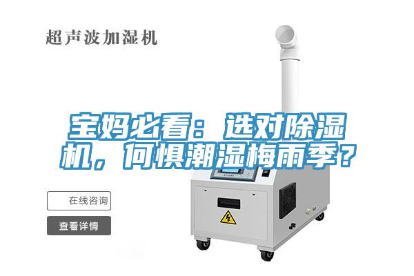 寶媽必看：選對除濕機，何懼潮濕梅雨季？