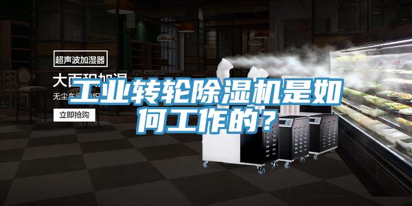 工業轉輪除濕機是如何工作的？
