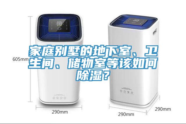 家庭別墅的地下室、衛生間、儲物室等該如何除濕？