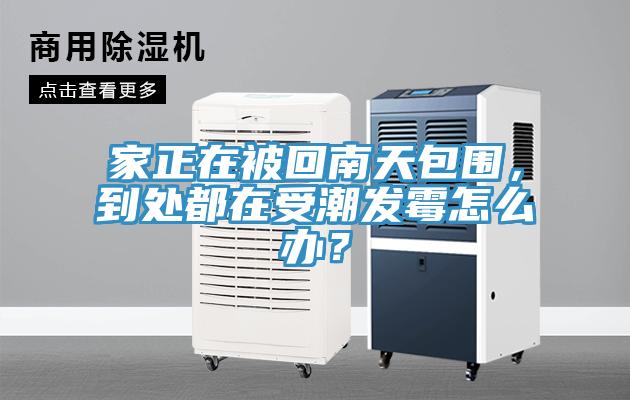 家正在被回南天包圍，到處都在受潮發(fā)霉怎么辦？