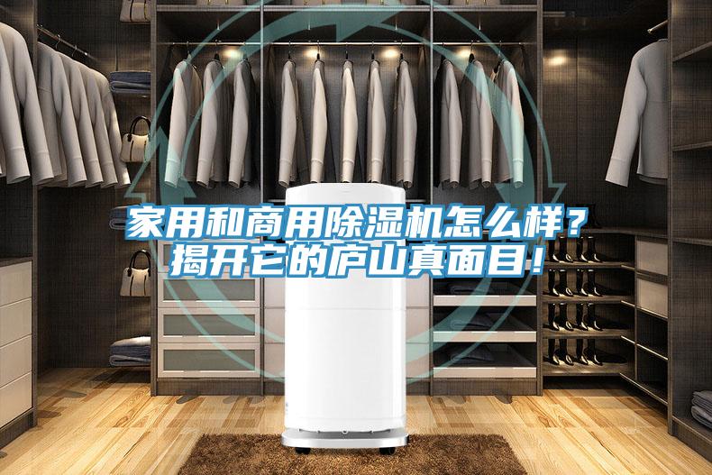 家用和商用除濕機怎么樣？揭開它的廬山真面目！