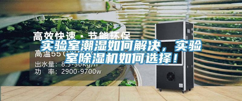實(shí)驗(yàn)室潮濕如何解決，實(shí)驗(yàn)室除濕機(jī)如何選擇！