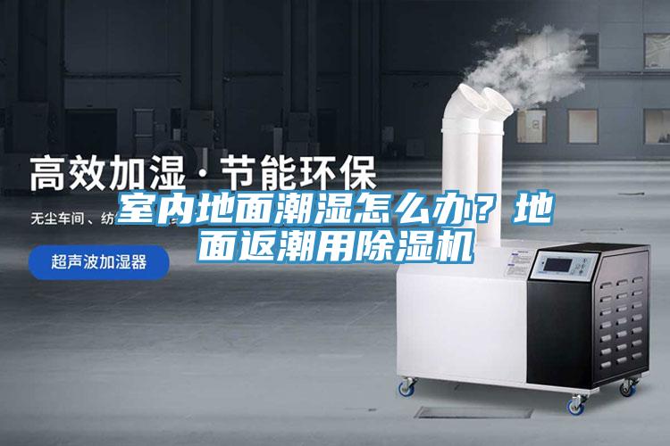 室內(nèi)地面潮濕怎么辦？地面返潮用除濕機(jī)