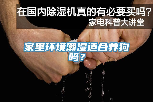 家里環境潮濕適合養狗嗎？