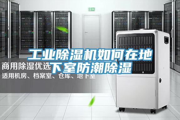 工業除濕機如何在地下室防潮除濕