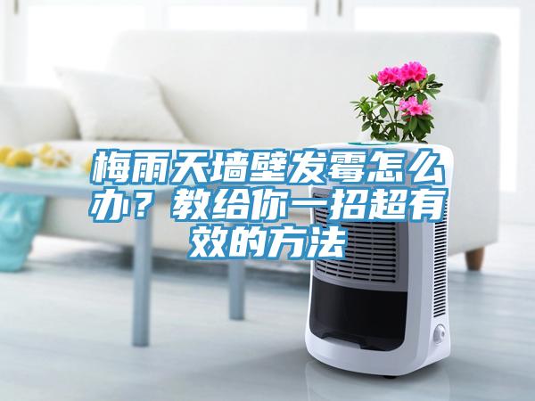 梅雨天墻壁發(fā)霉怎么辦？教給你一招超有效的方法