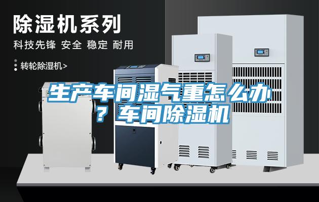 生產(chǎn)車(chē)間濕氣重怎么辦？車(chē)間除濕機(jī)