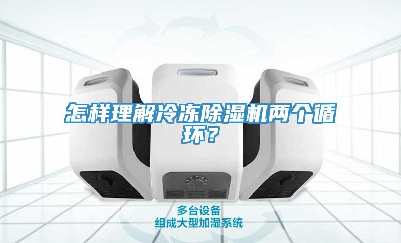 怎樣理解冷凍除濕機兩個循環？