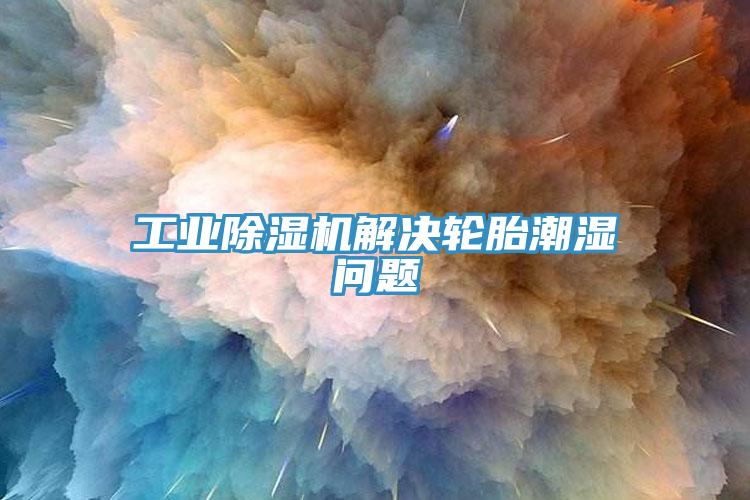 工業除濕機解決輪胎潮濕問題