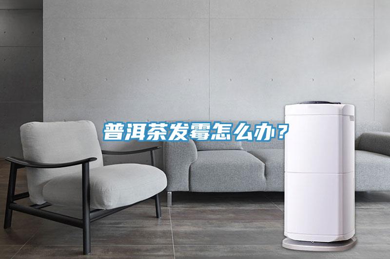普洱茶發霉怎么辦？