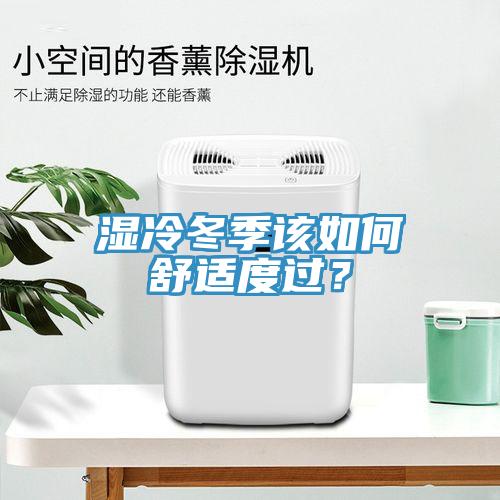 濕冷冬季該如何舒適度過？