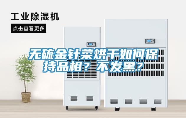 無硫金針菜烘干如何保持品相？不發黑？