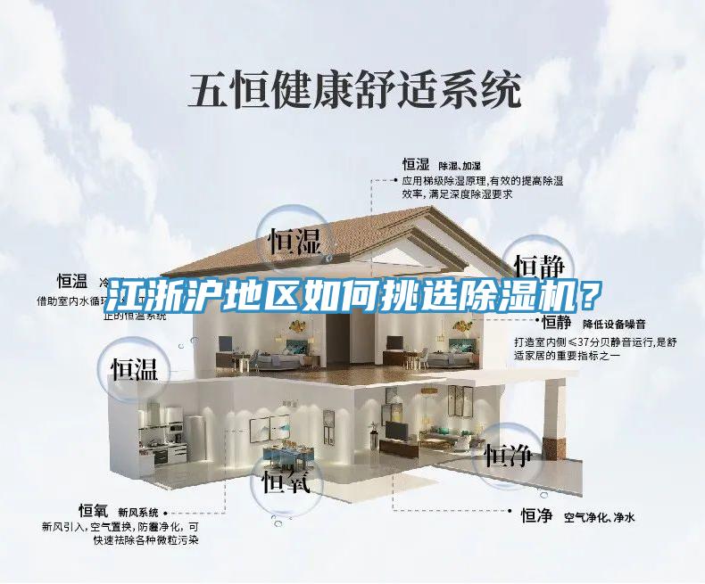 江浙滬地區如何挑選除濕機？