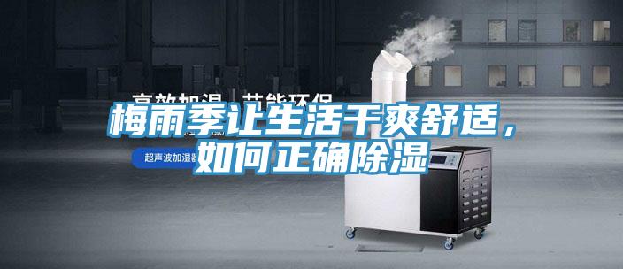 梅雨季讓生活干爽舒適，如何正確除濕