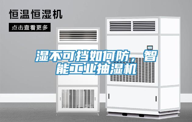 濕不可擋如何防，智能工業(yè)抽濕機(jī)