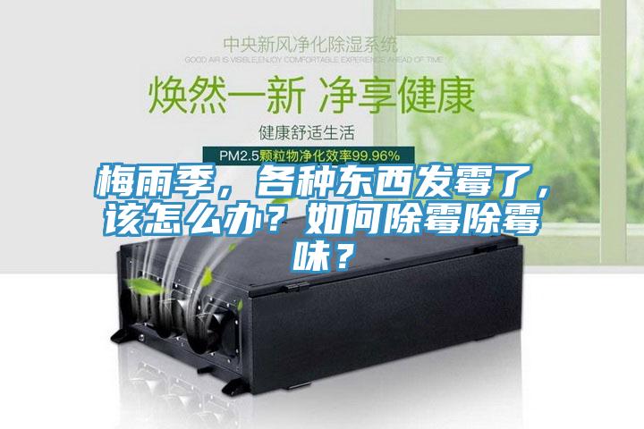 梅雨季，各種東西發(fā)霉了，該怎么辦？如何除霉除霉味？