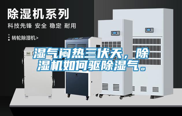 濕氣悶熱三伏天，除濕機如何驅除濕氣。