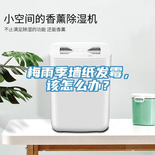 梅雨季墻紙發霉，該怎么辦？