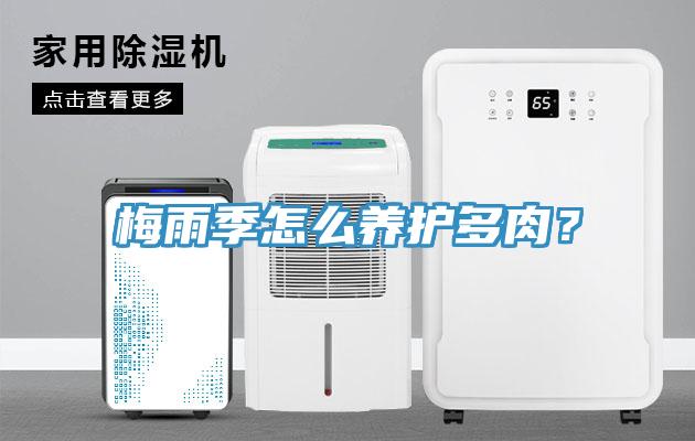 梅雨季怎么養護多肉？