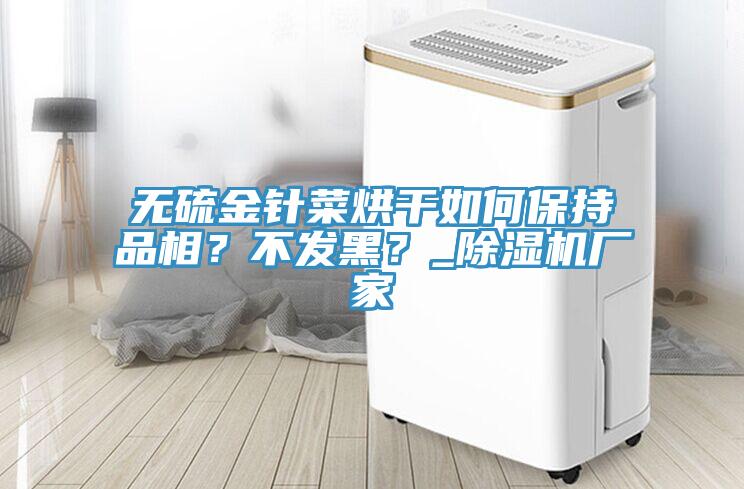 無硫金針菜烘干如何保持品相？不發(fā)黑？_除濕機廠家