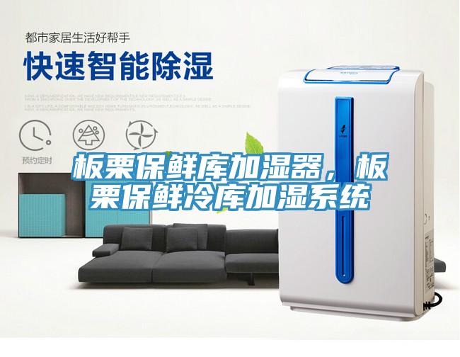 板栗保鮮庫加濕器，板栗保鮮冷庫加濕系統