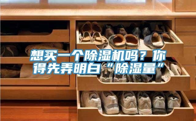 想買一個除濕機(jī)嗎？你得先弄明白“除濕量”
