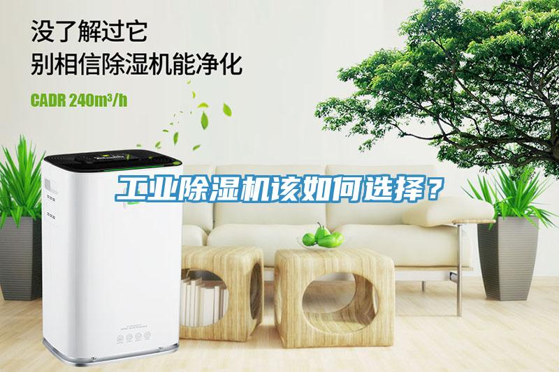 工業除濕機該如何選擇？