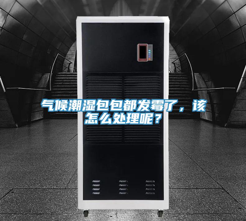 氣候潮濕包包都發霉了，該怎么處理呢？
