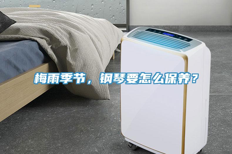 梅雨季節(jié)，鋼琴要怎么保養(yǎng)？