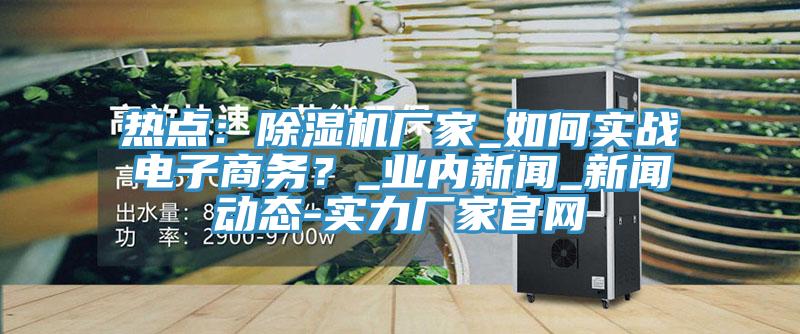 熱點：除濕機廠家_如何實戰電子商務？_業內新聞_新聞動態-實力廠家官網