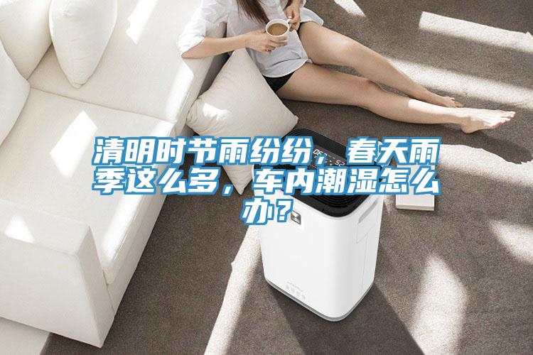 清明時節雨紛紛，春天雨季這么多，車內潮濕怎么辦？