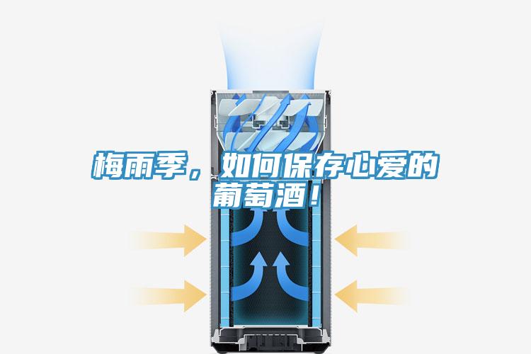 梅雨季，如何保存心愛的葡萄酒！