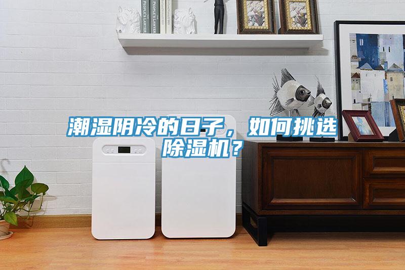 潮濕陰冷的日子，如何挑選除濕機？