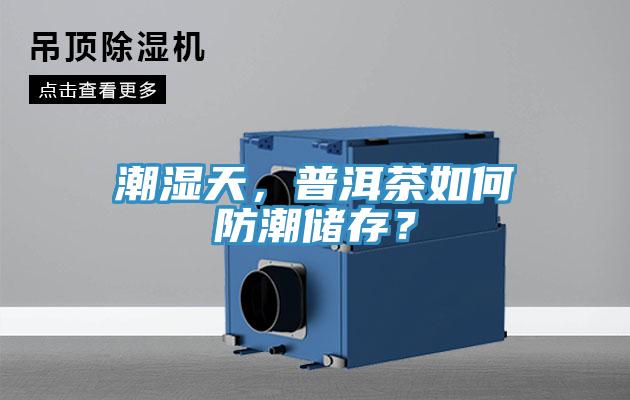 潮濕天，普洱茶如何防潮儲存？