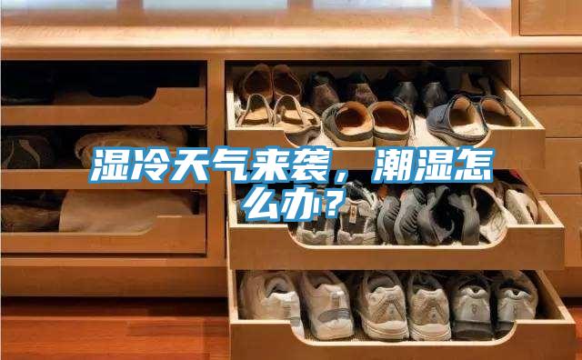 濕冷天氣來襲，潮濕怎么辦？