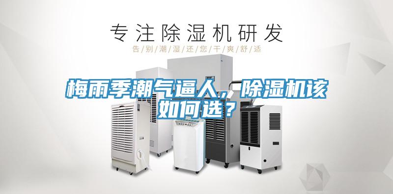 梅雨季潮氣逼人，除濕機該如何選？