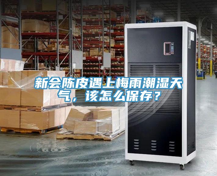 新會(huì)陳皮遇上梅雨潮濕天氣，該怎么保存？