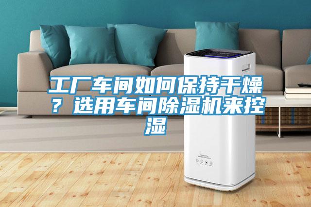 工廠車間如何保持干燥？選用車間除濕機(jī)來控濕