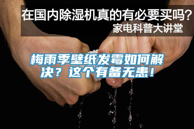 梅雨季壁紙發霉如何解決？這個有備無患！