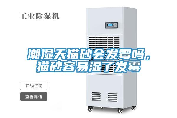 潮濕天貓砂會發霉嗎，貓砂容易濕了發霉