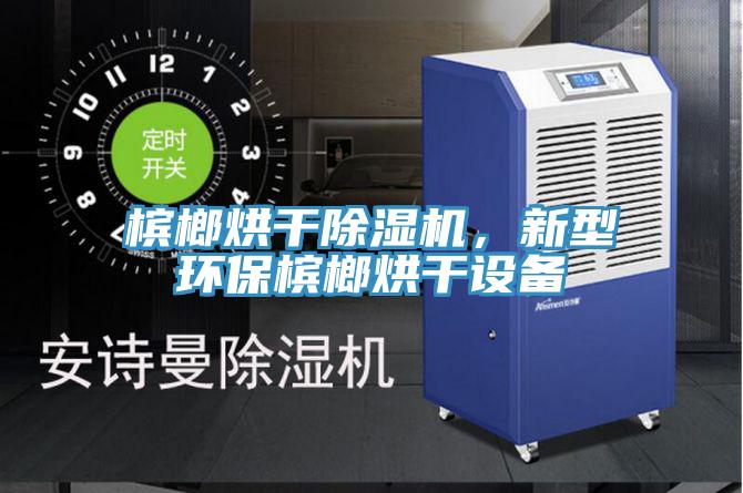 檳榔烘干除濕機，新型環(huán)保檳榔烘干設備