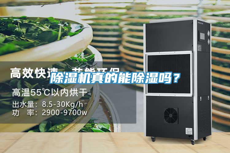 除濕機真的能除濕嗎？